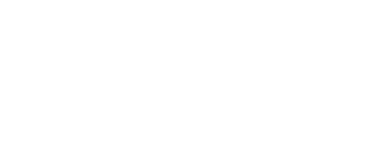 Brand logo Saltex