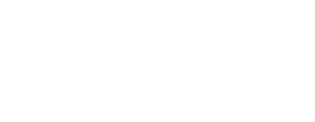 Logo for SMOAX® Fire & Flame