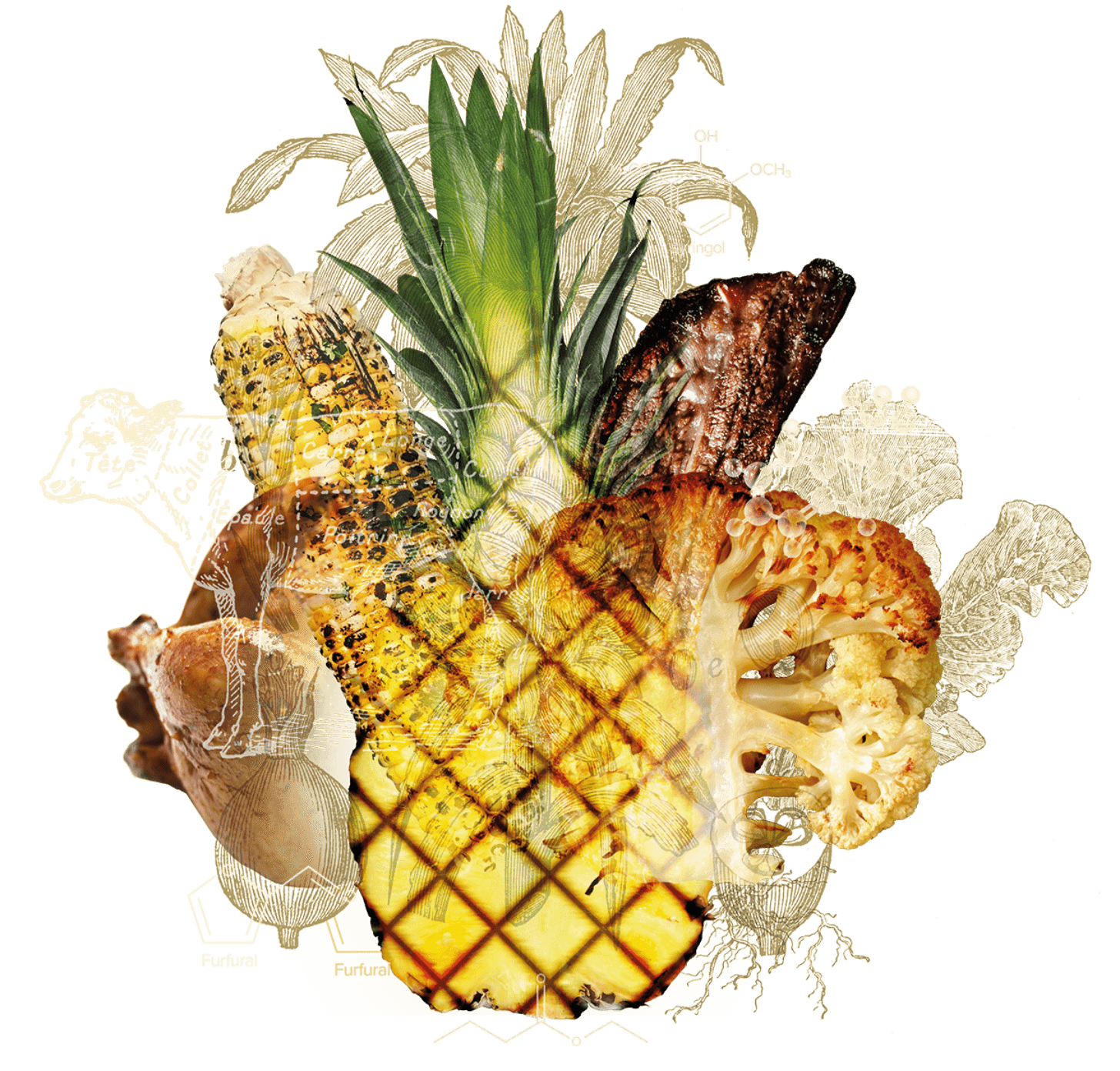Graphic showing a cow, a pineapple, a chicken and a cauliflower