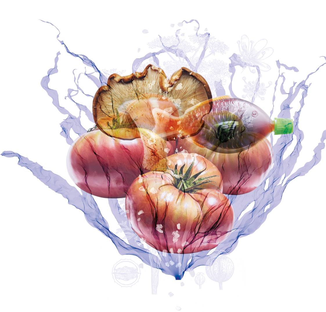 Graphic showing tomatoes, a mushroom and a fish