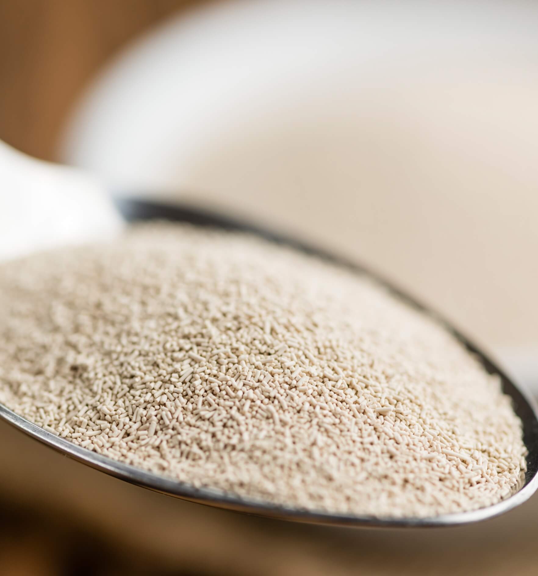 Image showing a portion of dried Yeast, close-up shot, on wooden background