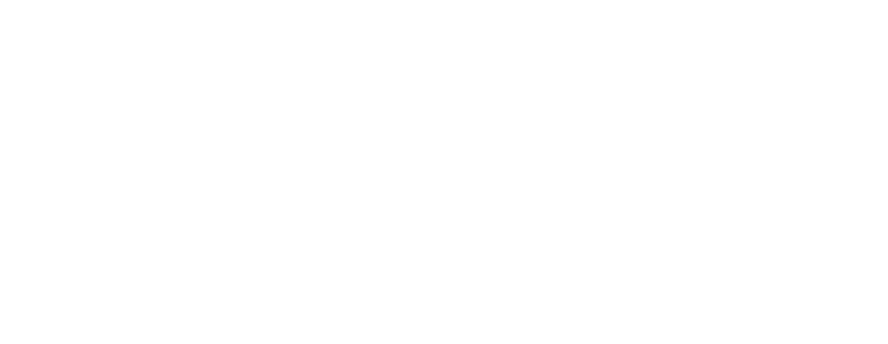 Logo Smoax Woodsmoke